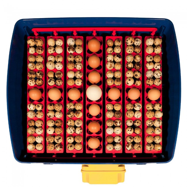 Εκκολαπτική Μηχανή Lumia 8